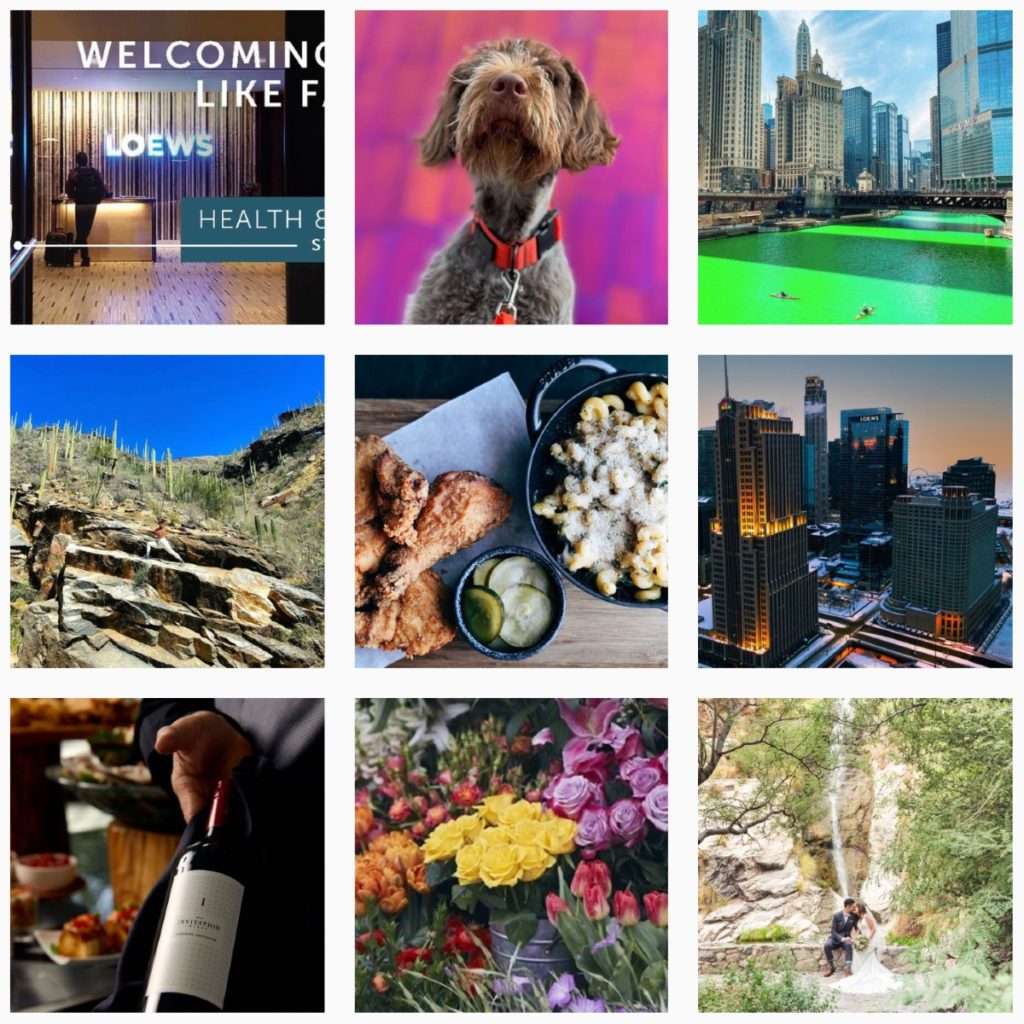 A screenshot of Loews Hotels Instagram grid featuring a mix or user-generated content (their hotel lobby, a dog, city skylines, food, flowers, a couple getting married)