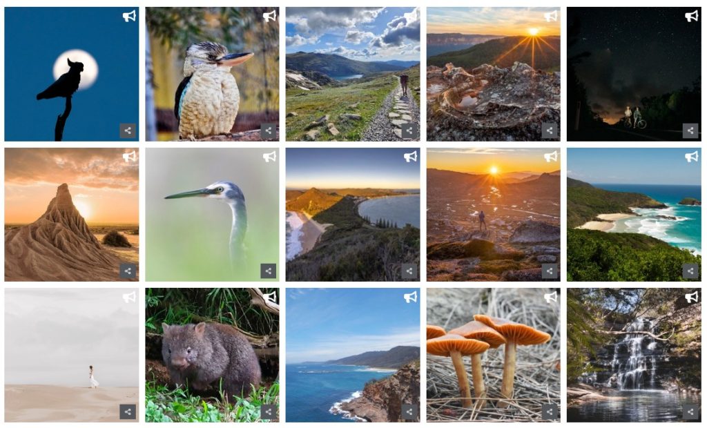 User-generated content submitted to the NSW Parks Photo Competition  – featuring beautiful images of birds and landscapes. 